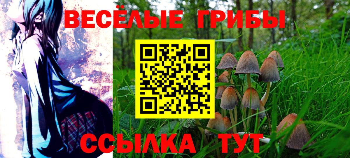 что такое наркотик  Вход с VPN  Кудрово  Псилоцибиновые грибы мицелий 