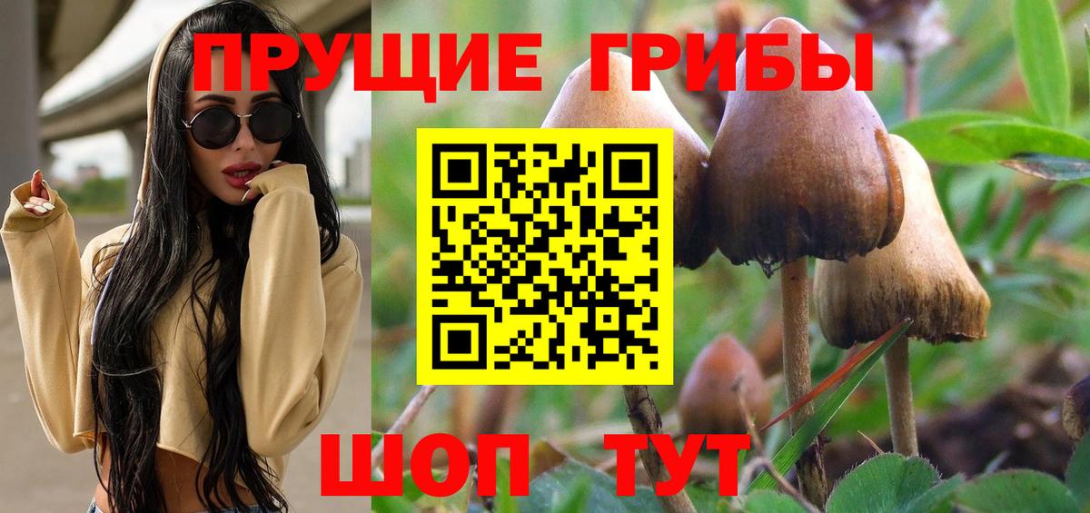 Галлюциногенные грибы мицелий Кудрово